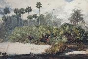 Winslow Homer In a Florida Jungle (mk44) oil painting on canvas